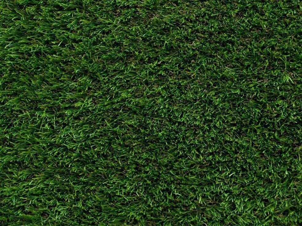 Apollo artificial grass